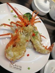-安雅国际月子会所(拱北森宇富通店)