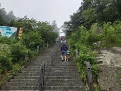 -炎陵县神农谷国家森林公园