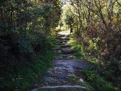 -云岫谷自然风景区