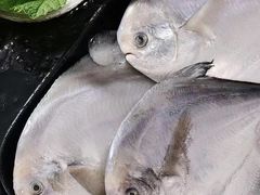 -状元楼(东大街店)