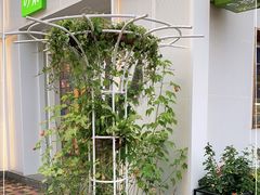 -奈雪的茶(大梅沙8号仓店)