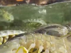 -欧记·龙城港(欣都店)