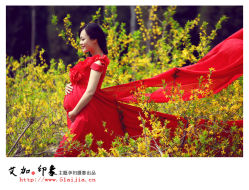 20130406142740553-艾文全家福亲子孕妇摄影馆(银基王朝店)