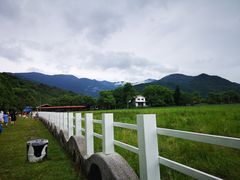 -瑞穗牧场