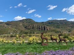 -塞罕坝国家级自然保护区