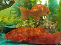 -聚福宝合苑食府(南头镇店)