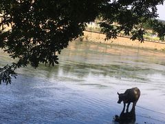 -杭州双溪漂流景区