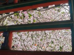 -莲池书院博物馆