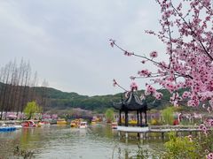 -苏州上方山国家森林公园