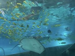 -福州罗源湾海洋世界旅游区