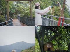 -大余丫山旅游度假区
