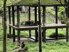 -碧峰峡风景区
