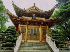 -上海东林寺(金山区)