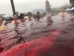 -天目湖涵田半山温泉