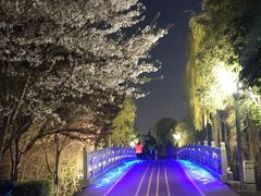 -尚贤河湿地
