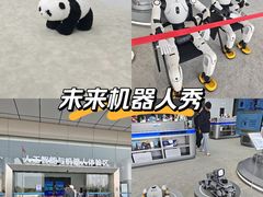 -海心沙亚运公园