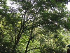 -天目湖山水园