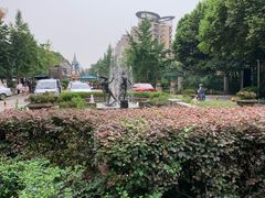 -神仙树公园