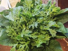 -潮辣重庆火锅(二七万达店)