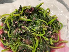-松沪名灶·豆浆鱼头·新上海菜(飞航吾悦广场店)