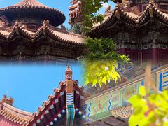 -故宫博物院(故宫)
