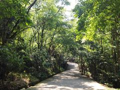 -滴水岩森林公园
