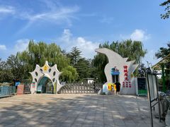 -诸城市恐龙博物馆