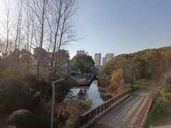 -昆山城市生态森林公园