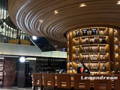 大堂-深圳温德姆至尊酒店·大堂吧·户外花园