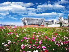 -广东财经大学(广州校区)
