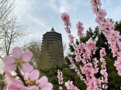 -玲珑塔公园