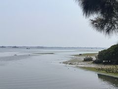 -霞山观海长廊