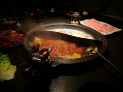 -锅说大脸毛肚重庆老火锅(佐阾店)