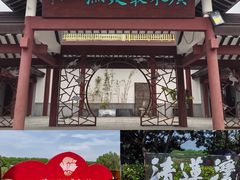 -大湾区中央湿地公园