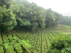 -杭州西湖风景名胜区-满觉陇四眼井
