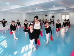 -西安小天鹅艺术团(曲江Alice店)