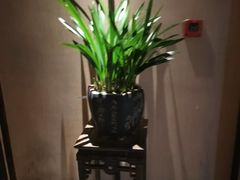 -足本纪·足道 SPA 简餐 小吃(文三西路店)
