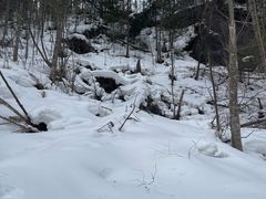 -峡谷浮石林景区