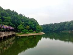 -象山森林公园