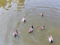 -前关湿地公园