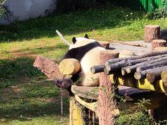 -沈阳森林动物园