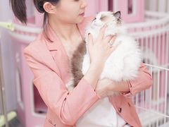 -青奢宠物·青奢猫舍