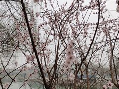 -河北省园博园