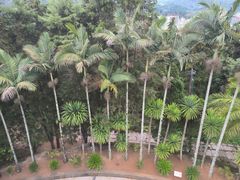 -墨江北回归线标志园