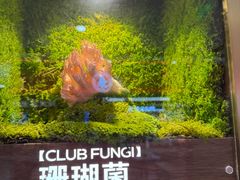 -厚贞日式烤肉(浦东汇智店)