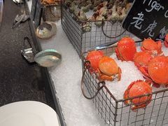 -Social 秀西餐厅-长沙瑞吉酒店(运达店)