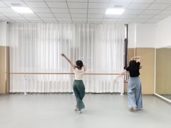 -西安小天鹅艺术团(金花路校区)