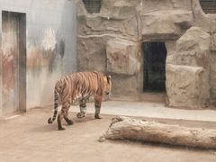-银川动物园