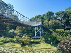 -东莞植物园