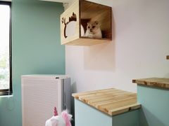 -Bastet sally猫舍购宠(静安店)